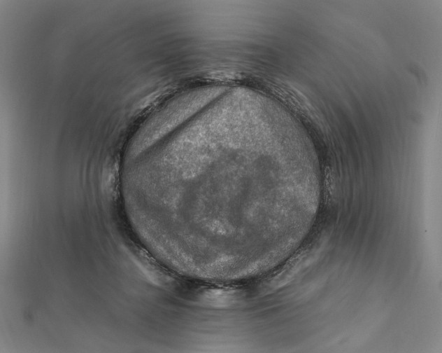 X0000112010364200908241500