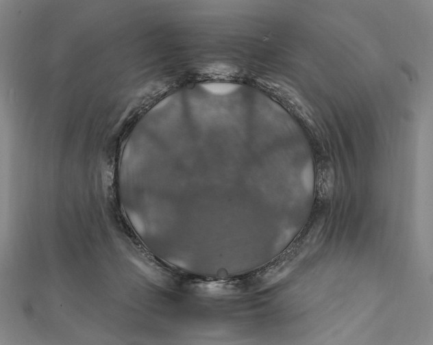 X0000112010365200908241500