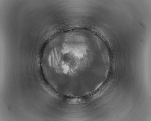 X0000112010366200908241500