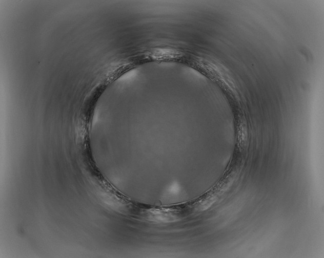 X0000112010367200908241500