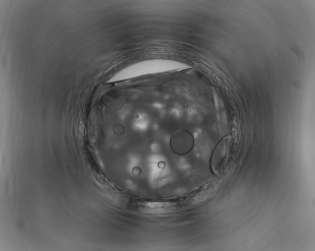 X0000112010371200908241500