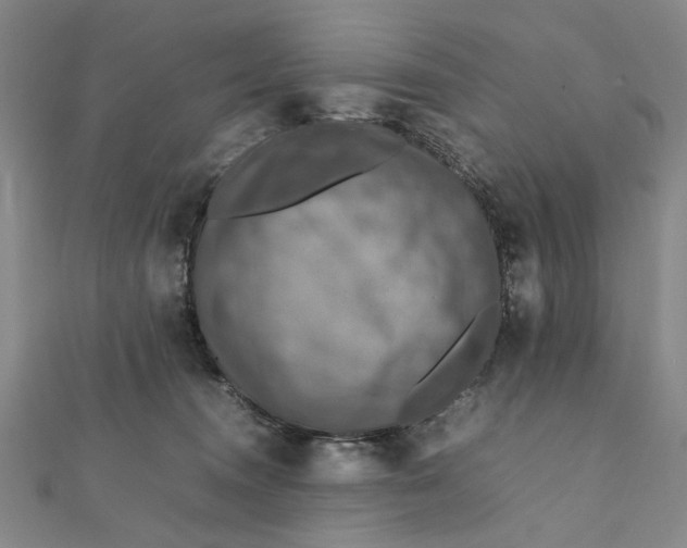 X0000112010372200908241500
