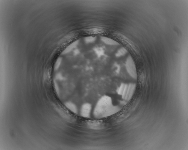 X0000112010373200908241500