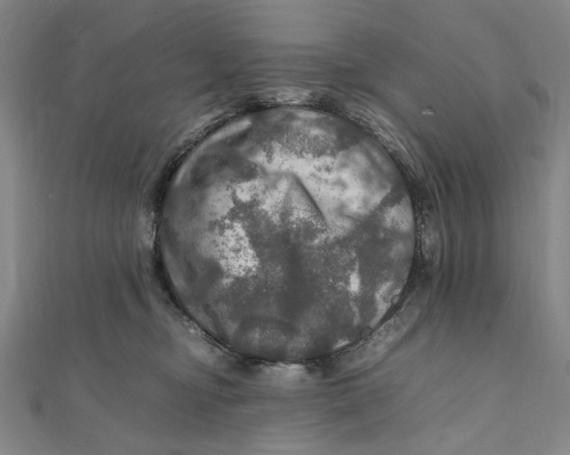 X0000112010374200908241500