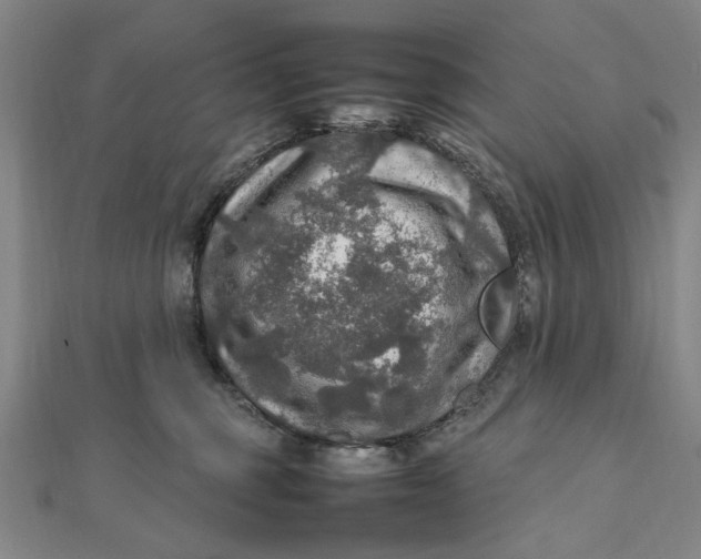 X0000112010375200908241500