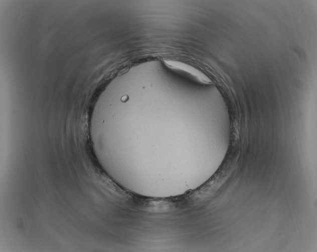 X0000112010376200908241500