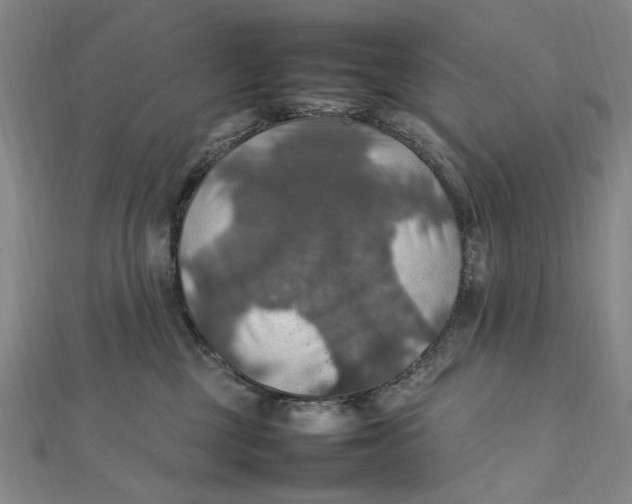 X0000112010377200908241500