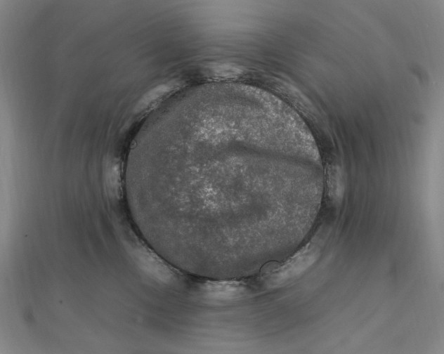 X0000112010378200908241500