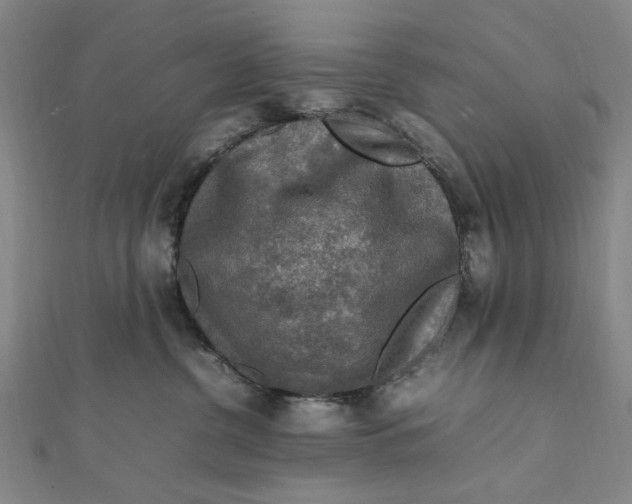 X0000112010380200908241500