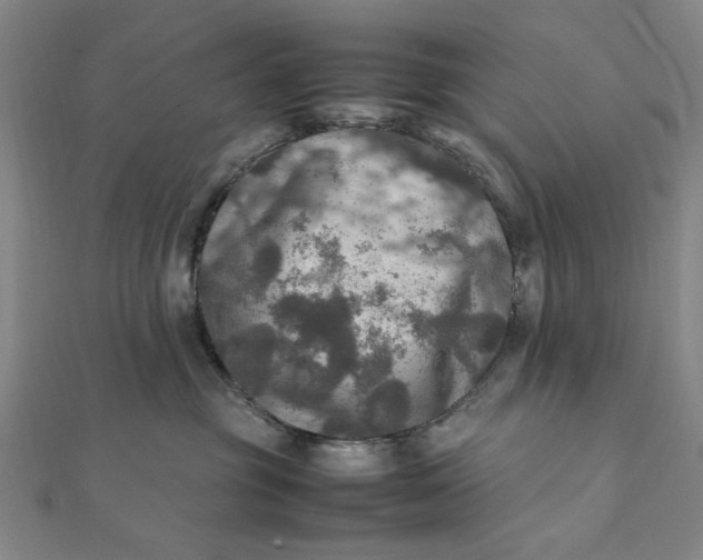 X0000112010381200908241500