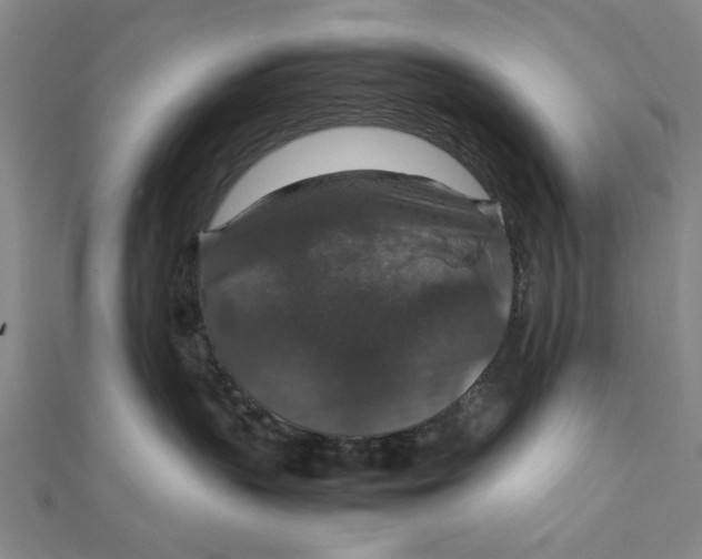 X0000112010383200908241500