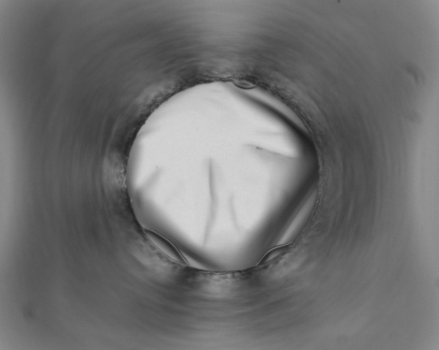 X0000112010384200908241500