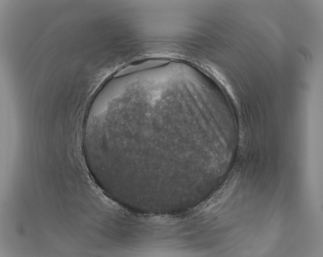 X0000112010385200908241459