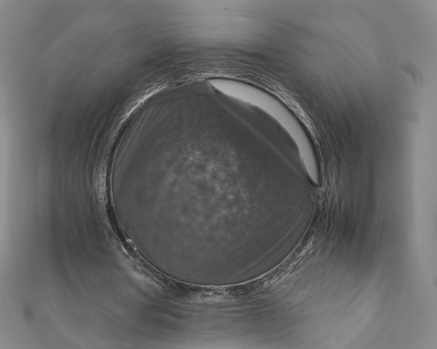 X0000112010386200908241459