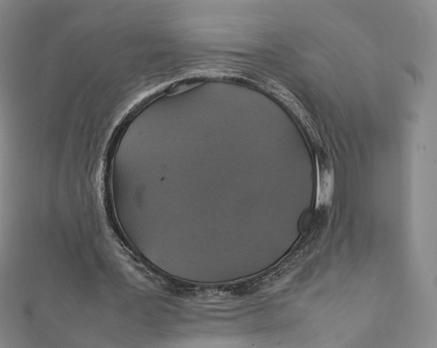 X0000112010387200908241459