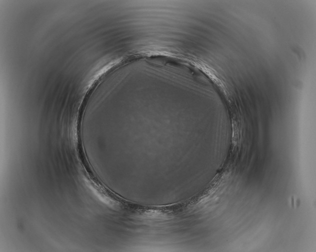 X0000112010390200908241459