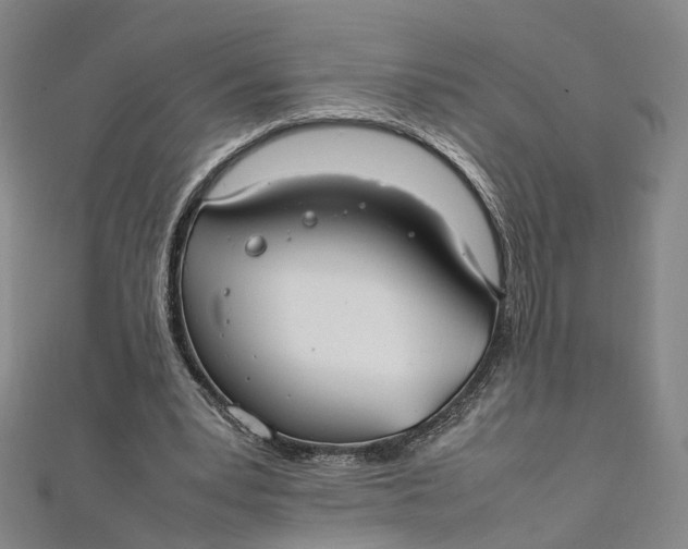 X0000112010391200908241459