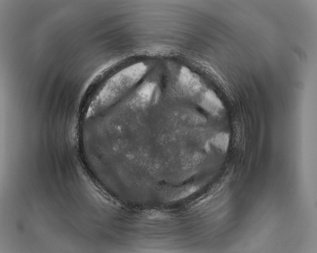 X0000112010392200908241459