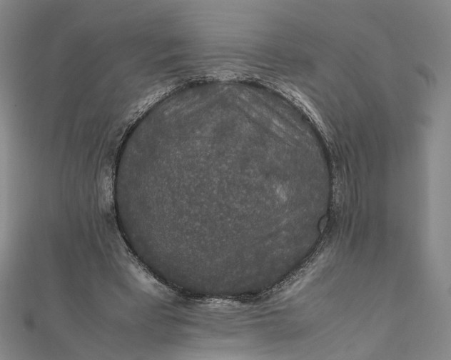 X0000112010393200908241459