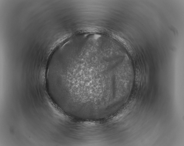 X0000112010394200908241459