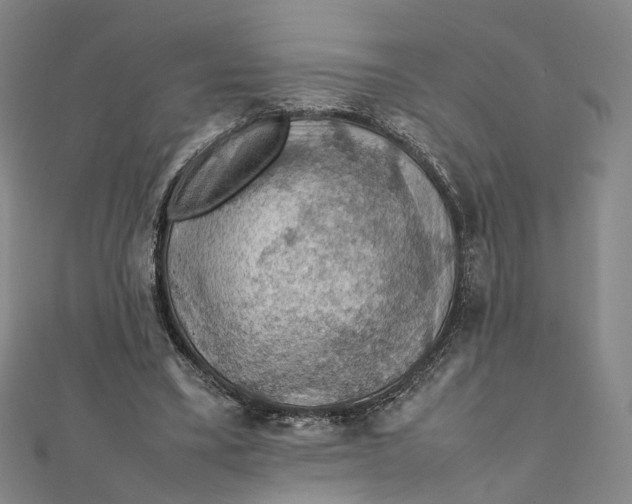 X0000112010395200908241459