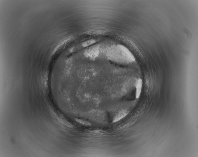 X0000112010396200908241459