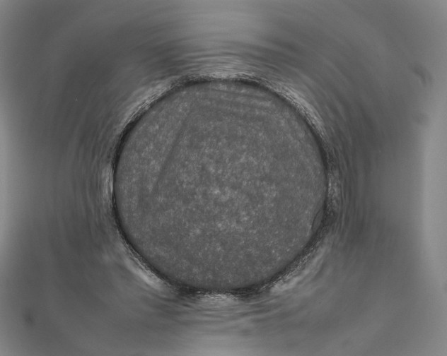 X0000112010397200908241459