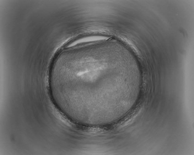 X0000112010399200908241459