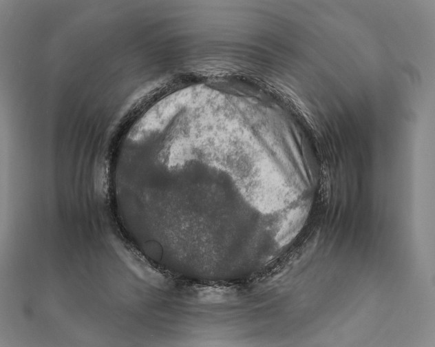 X0000112010400200908241459