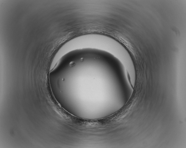 X0000112010401200908241459