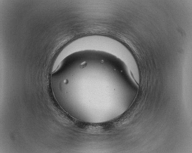 X0000112010403200908241459