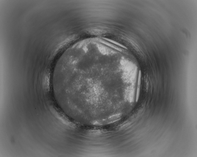 X0000112010404200908241459