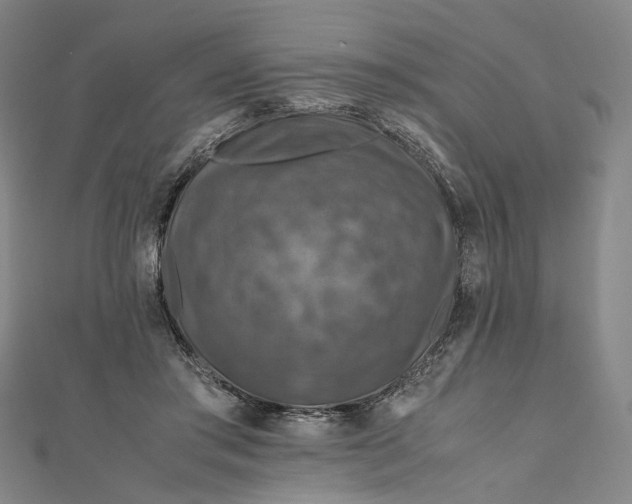 X0000112010405200908241459