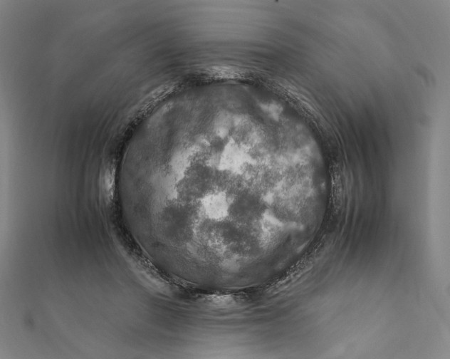 X0000112010406200908241459