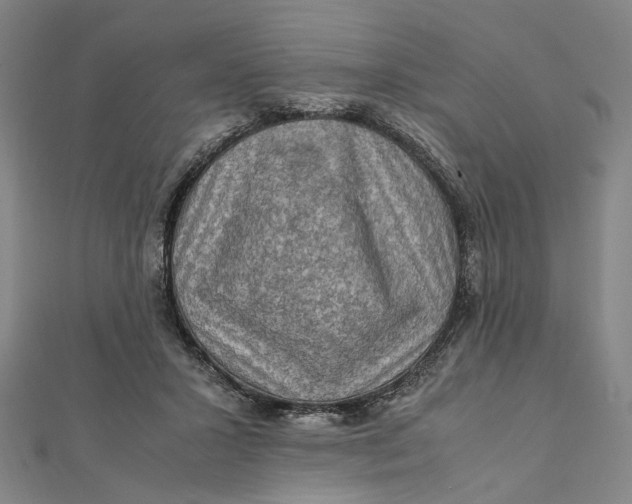 X0000112010407200908241459