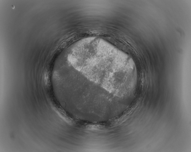 X0000112010408200908241459