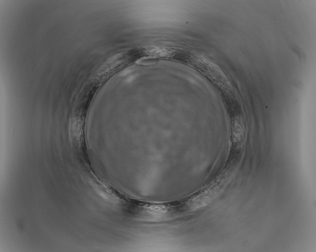 X0000112010409200908241459