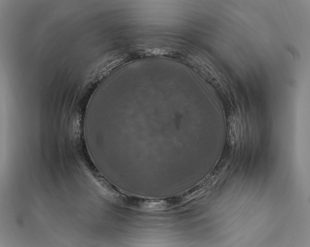 X0000112010410200908241459