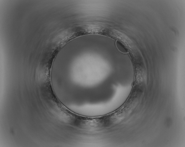 X0000112010411200908241459