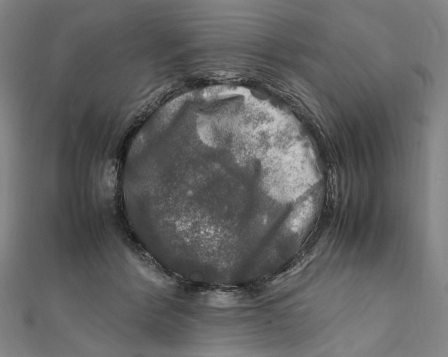 X0000112010412200908241459