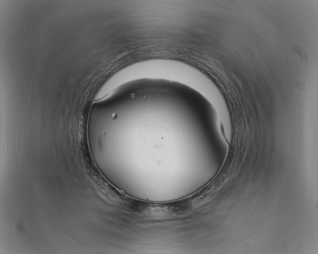 X0000112010413200908241459