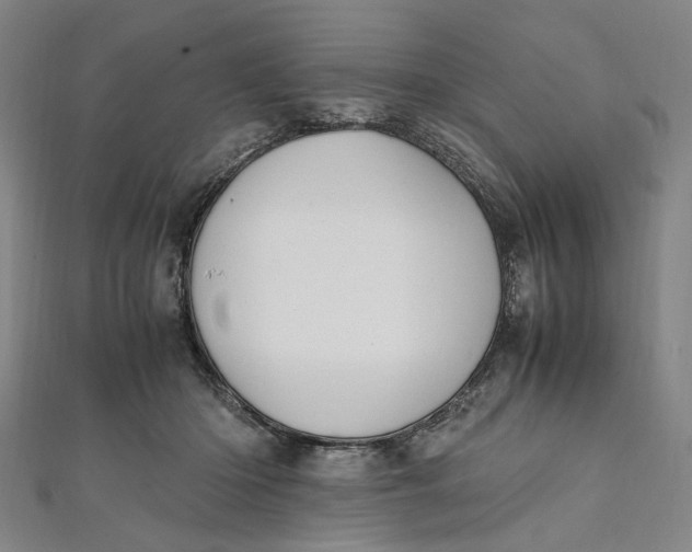 X0000112010414200908241459