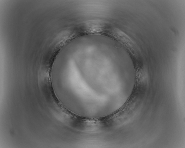 X0000112010415200908241459