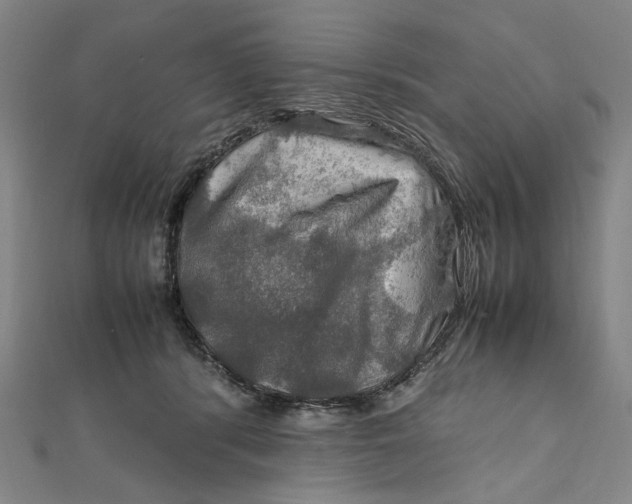 X0000112010416200908241459