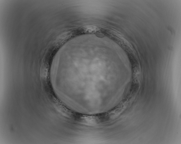 X0000112010417200908241459