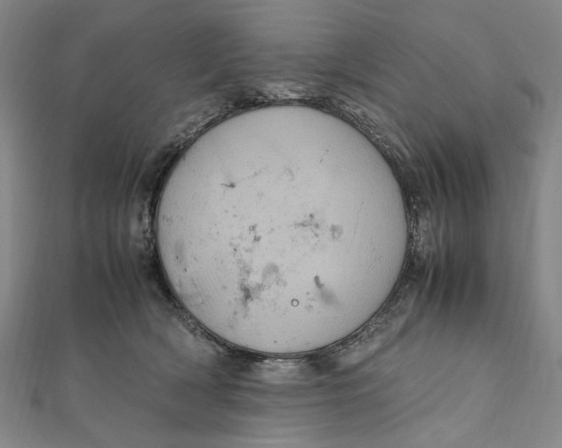 X0000112010418200908241459