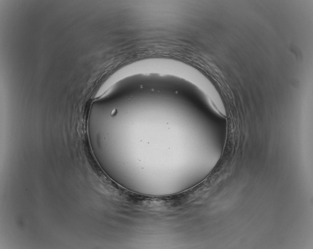 X0000112010419200908241459