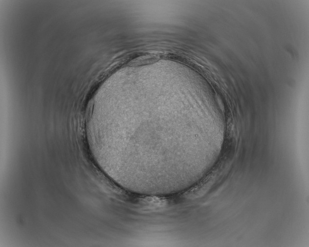 X0000112010421200908241459