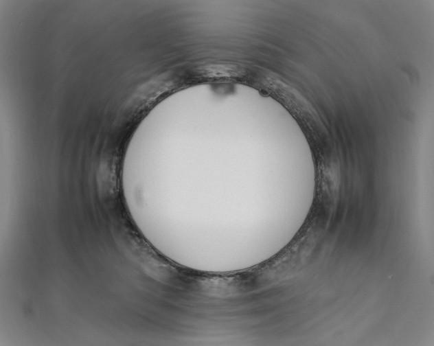 X0000112010422200908241459