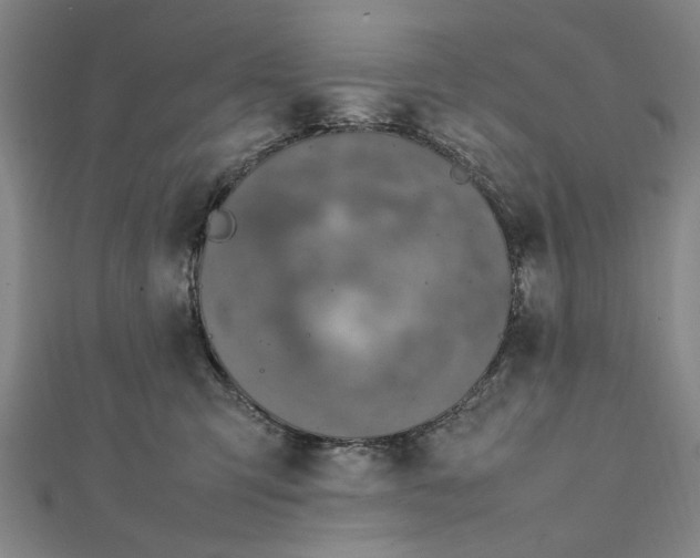 X0000112010423200908241459